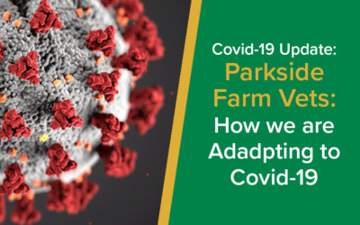 Parkside Farm Vets | How we are adapting to Covid-19