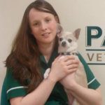 Passionate and Friendly Dundee Vet Practice | Call 01382 810777