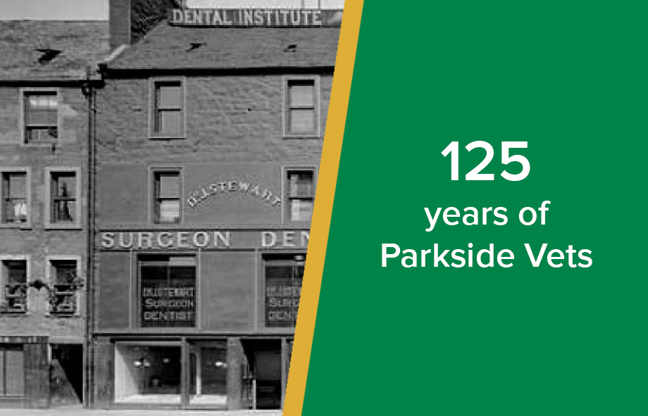 125 Years of Parkside Vets Our History